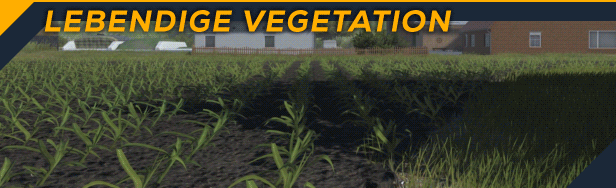Professional Farmer: Cattle and Crops thumbnail