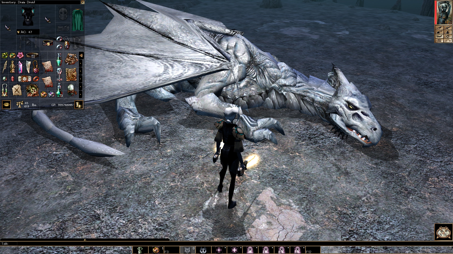 Neverwinter Nights: Enhanced Edition screenshot 4
