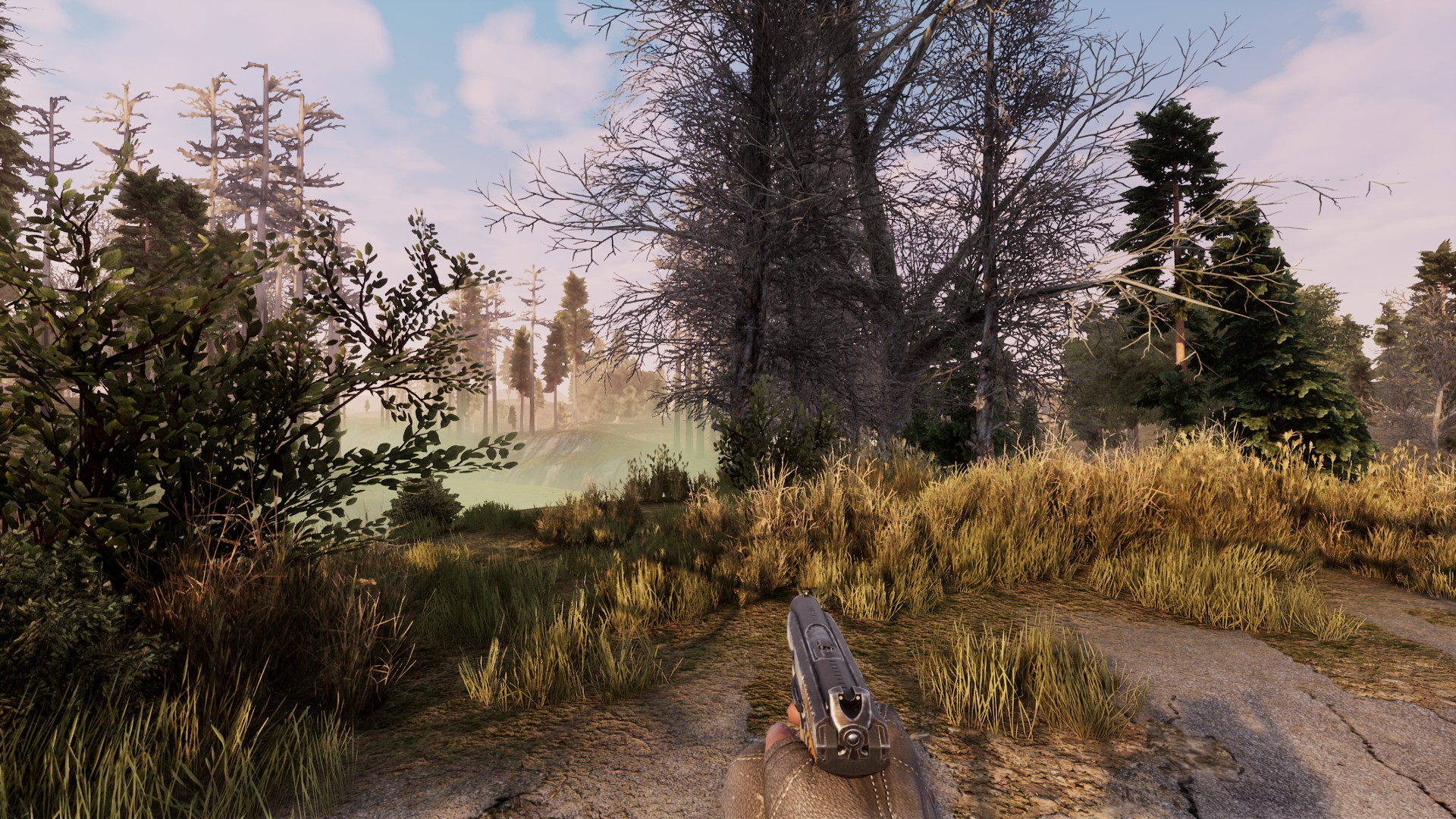 Will To Live Online screenshot 8
