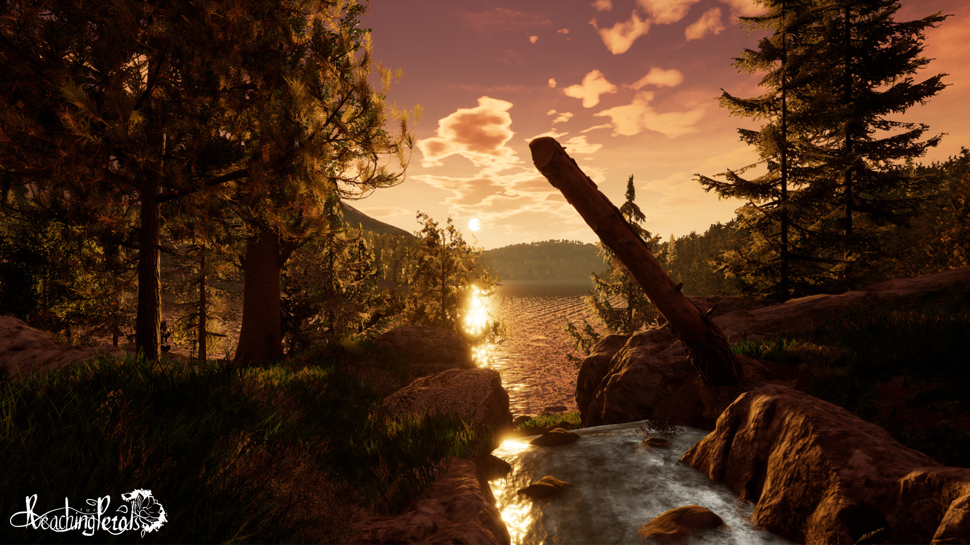 Reaching for Petals: VR Edition screenshot 5