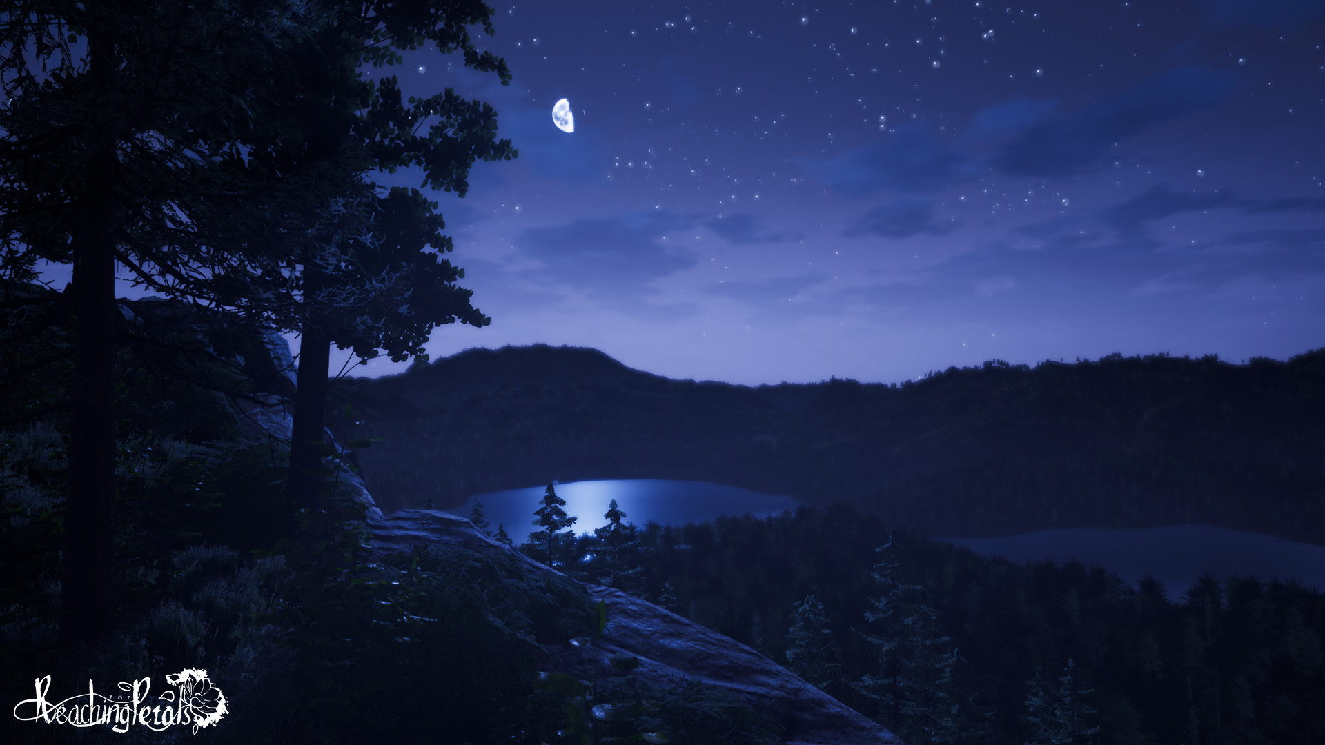 Reaching for Petals: VR Edition screenshot 6