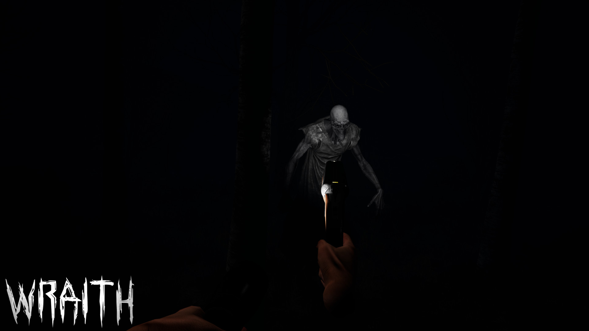 Wraith screenshot 2