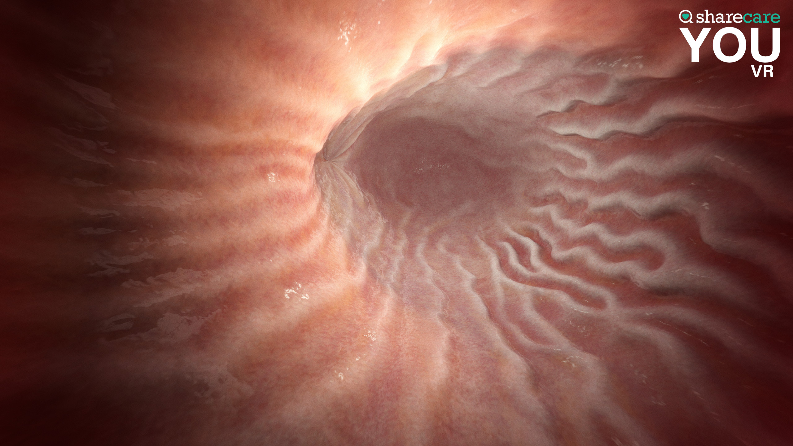 Sharecare YOU VR screenshot 7