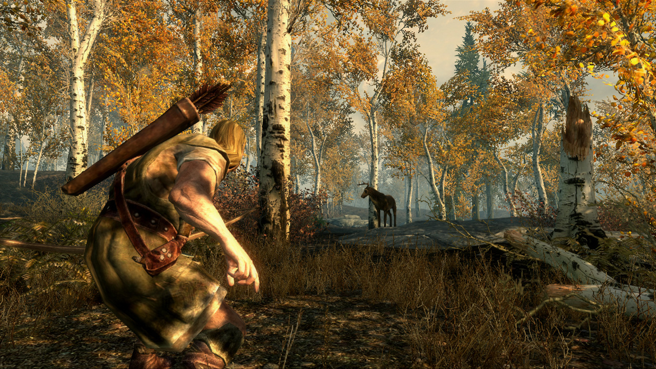 The Elder Scrolls V: Skyrim screenshot 3