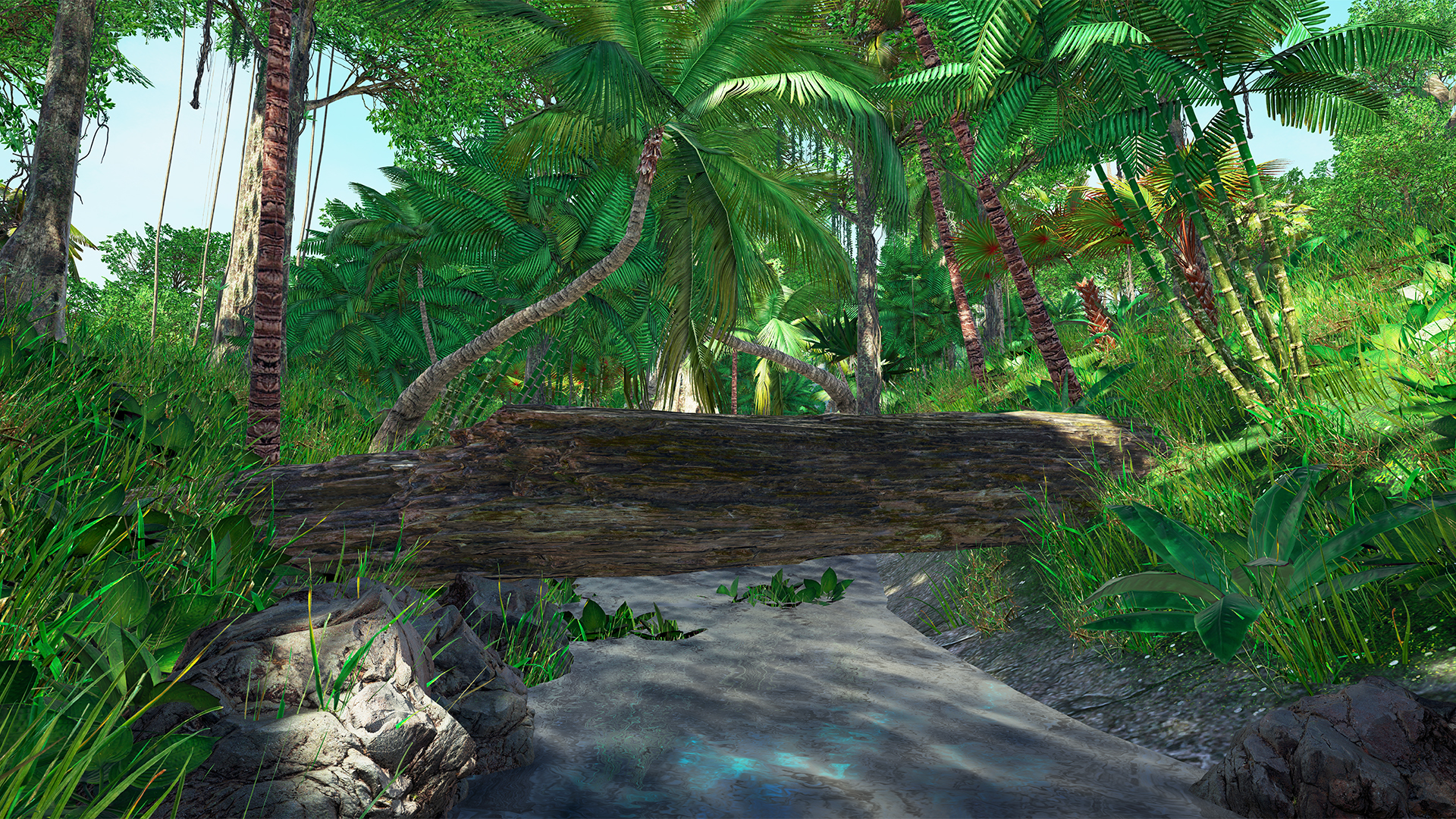 Tropical Escape screenshot 9