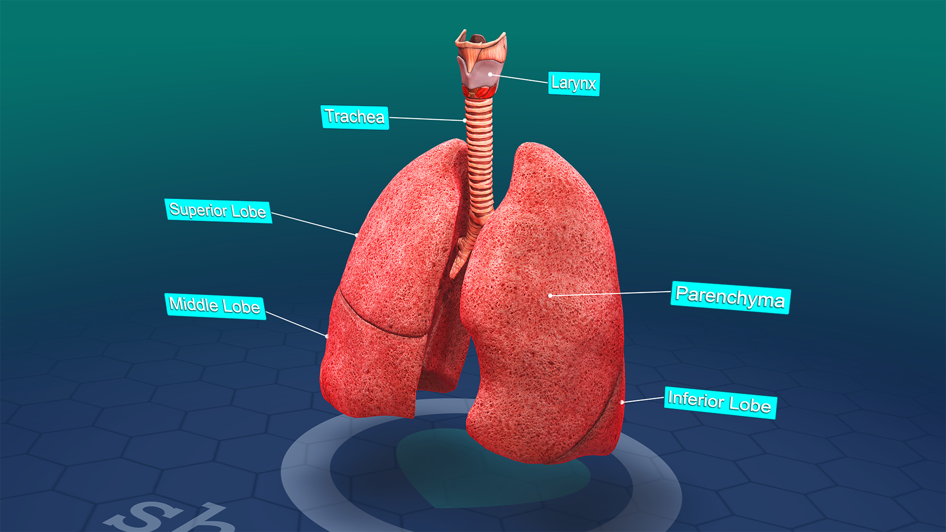 Sharecare VR 2017 screenshot 9