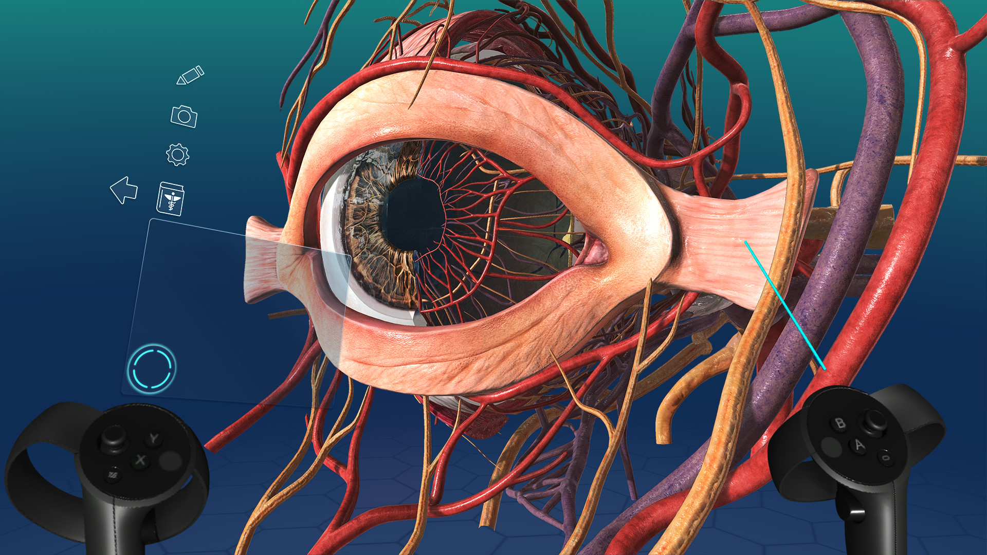 Sharecare VR 2017 screenshot 8