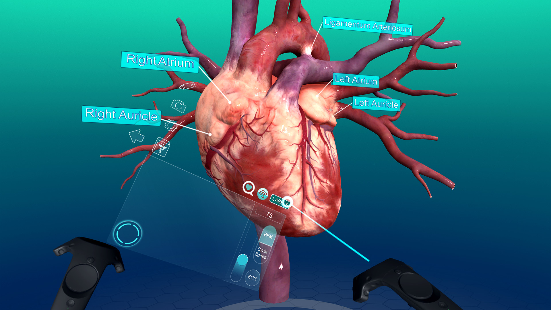 Sharecare VR 2017 screenshot 13