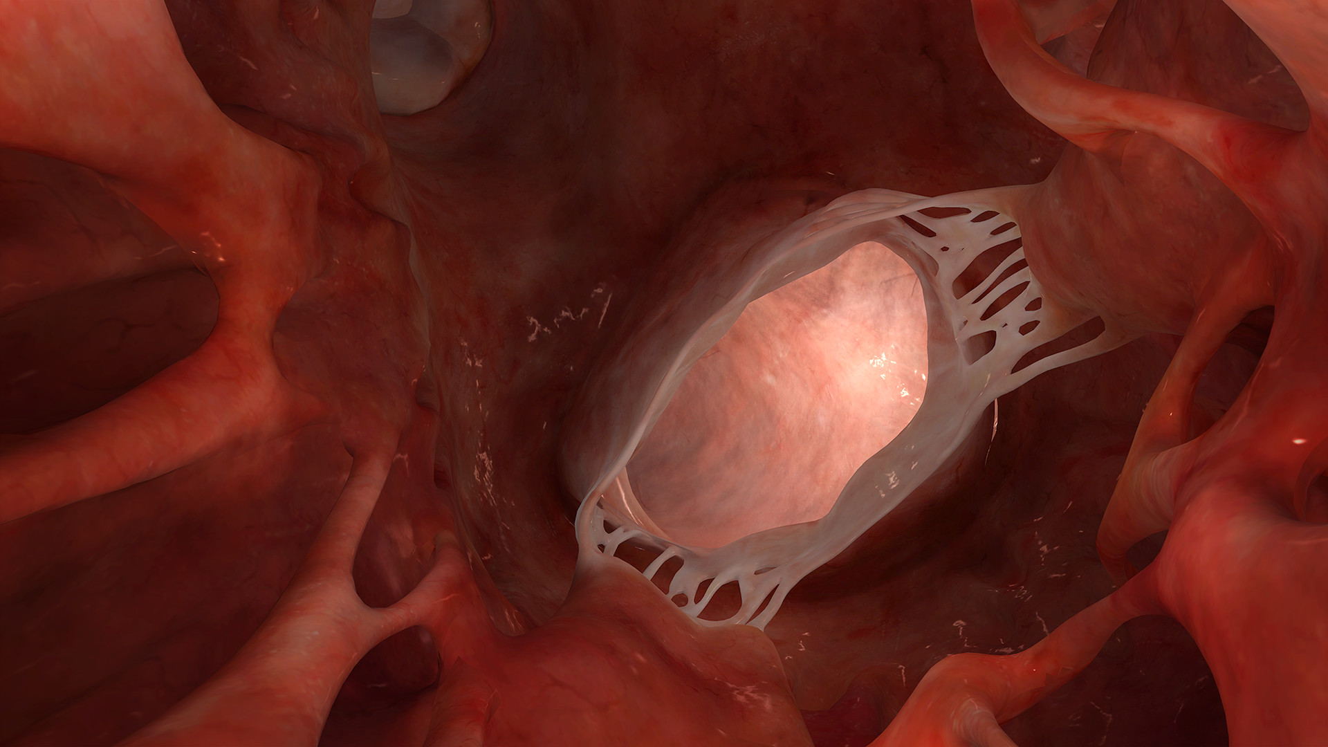 Sharecare VR 2017 screenshot 11