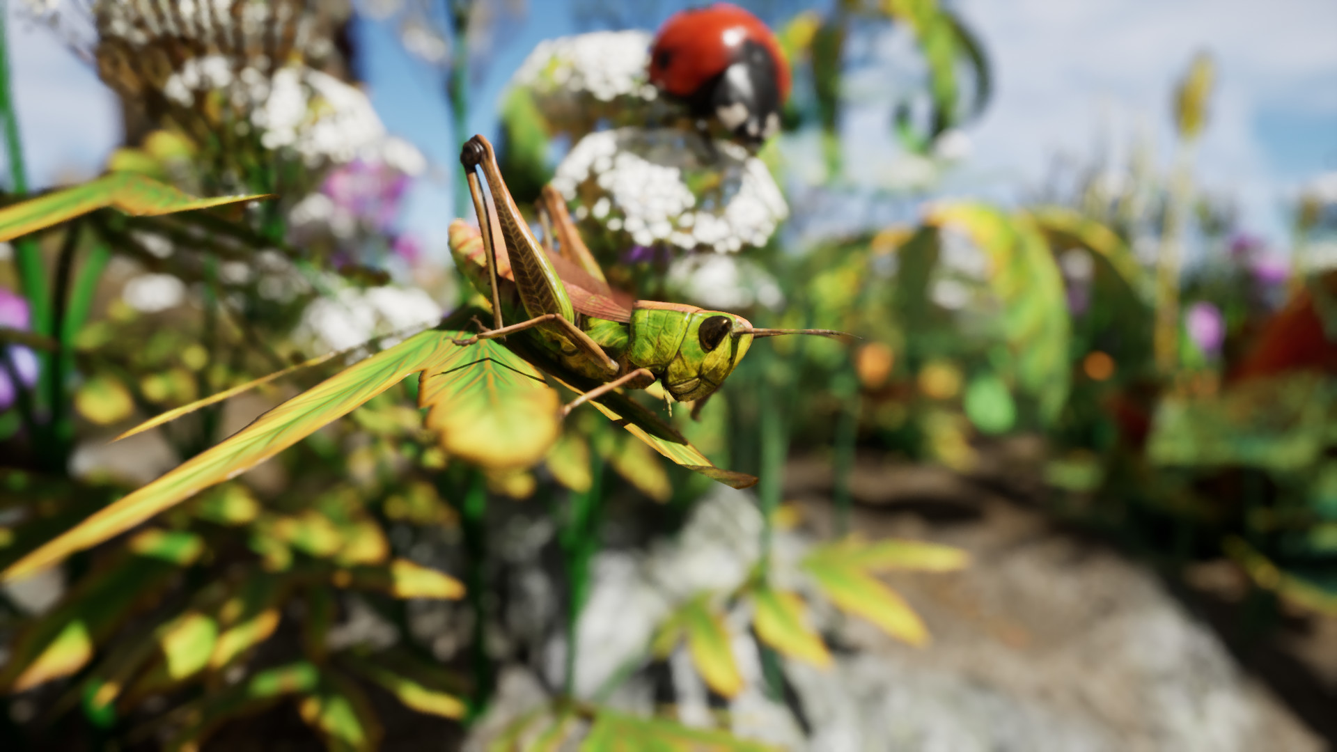 Yag screenshot 44
