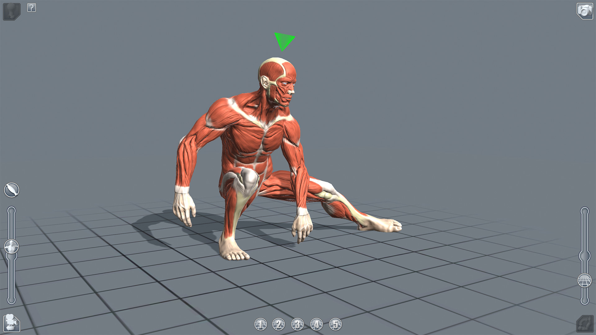 ArtPose Pro screenshot 1