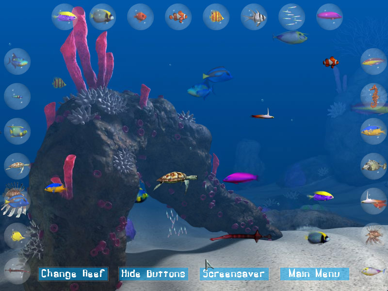 Big Kahuna Reef screenshot 6