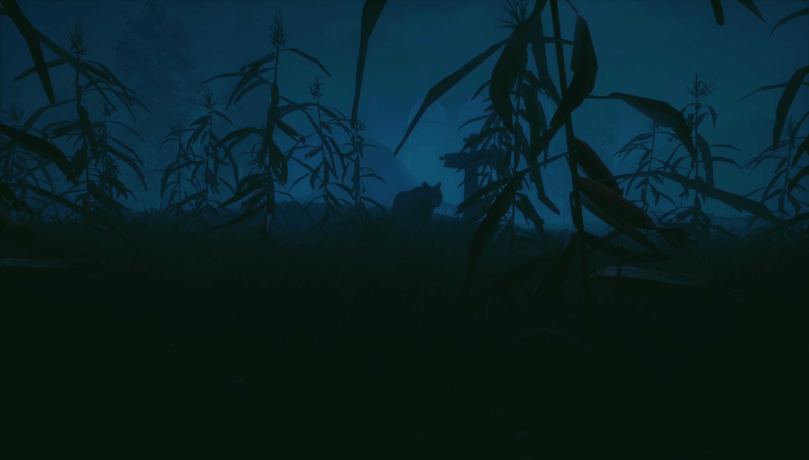Outside screenshot 5