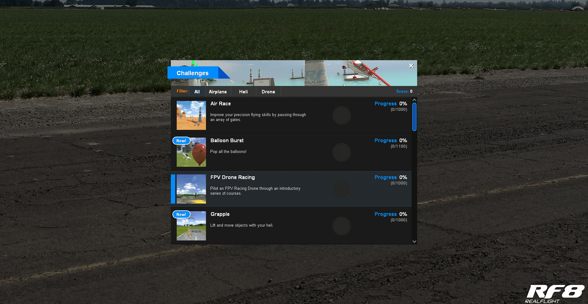 RealFlight 8 screenshot 10