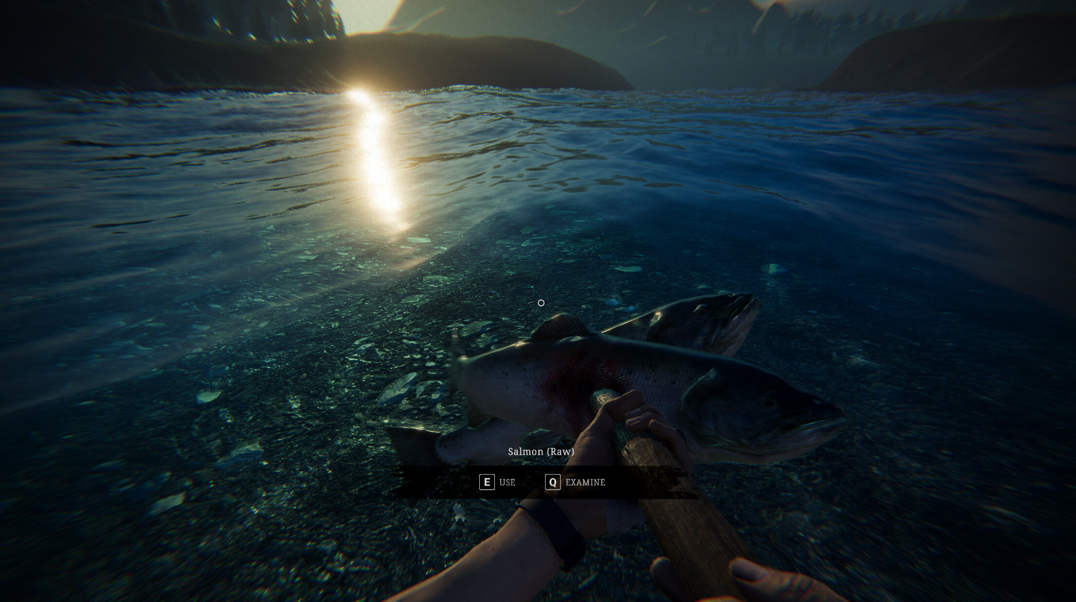 Zero Symptom screenshot 2