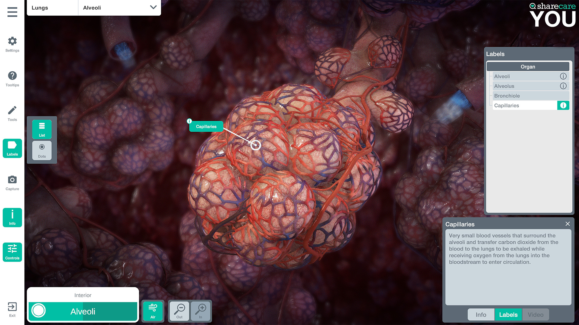 Sharecare YOU screenshot 7