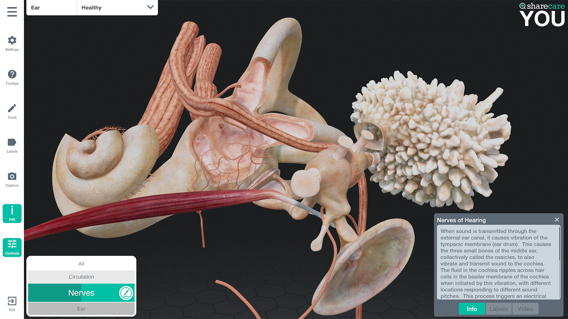 Sharecare YOU screenshot 8