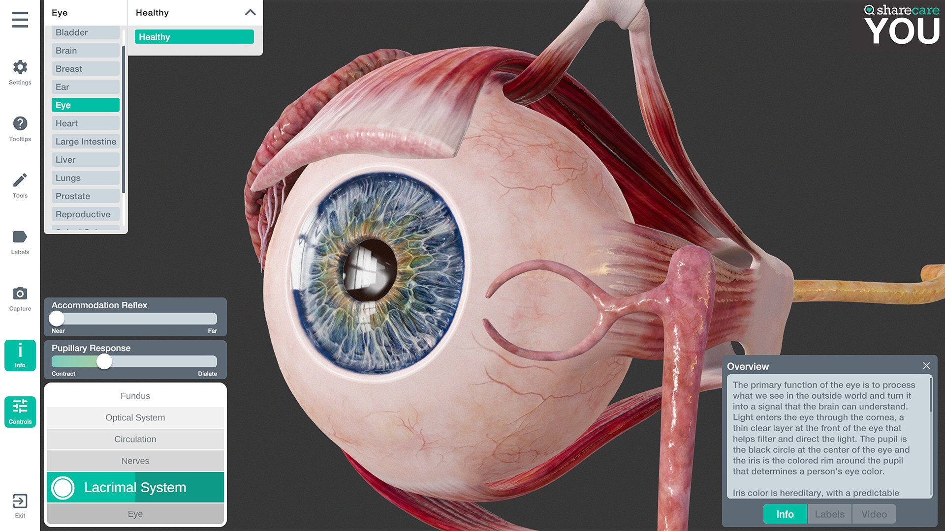 Sharecare YOU screenshot 4
