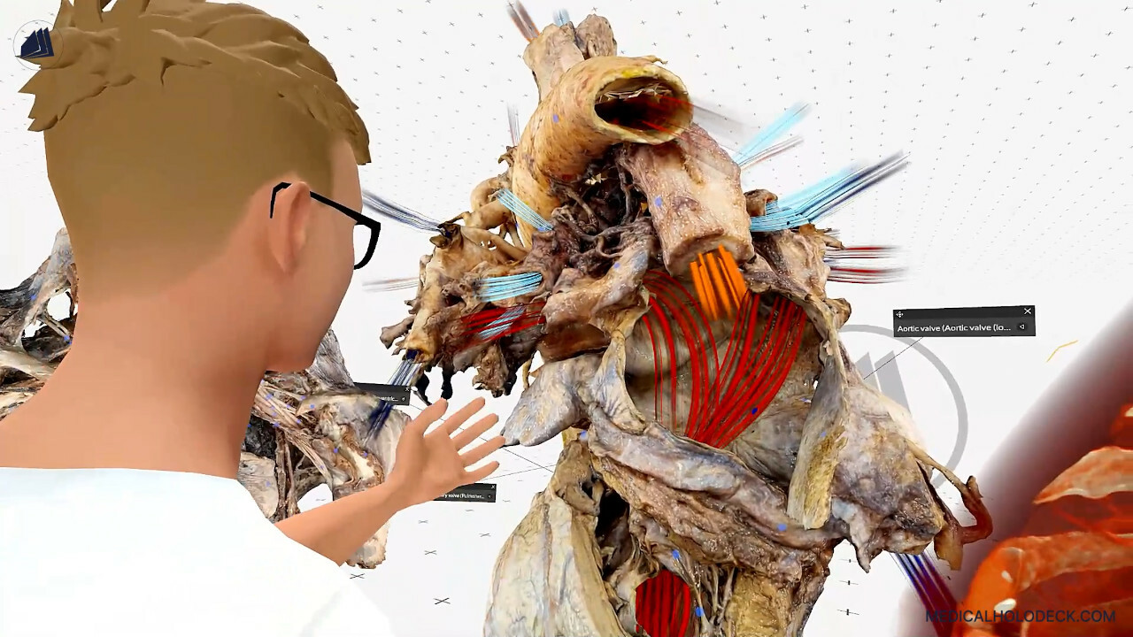Medicalholodeck screenshot 2