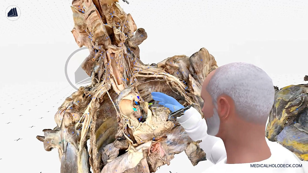Medicalholodeck screenshot 6