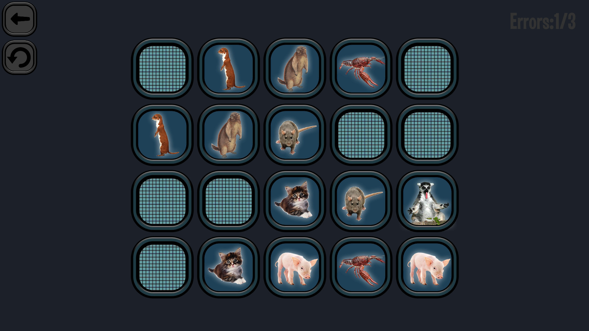 Animals Memory screenshot 6