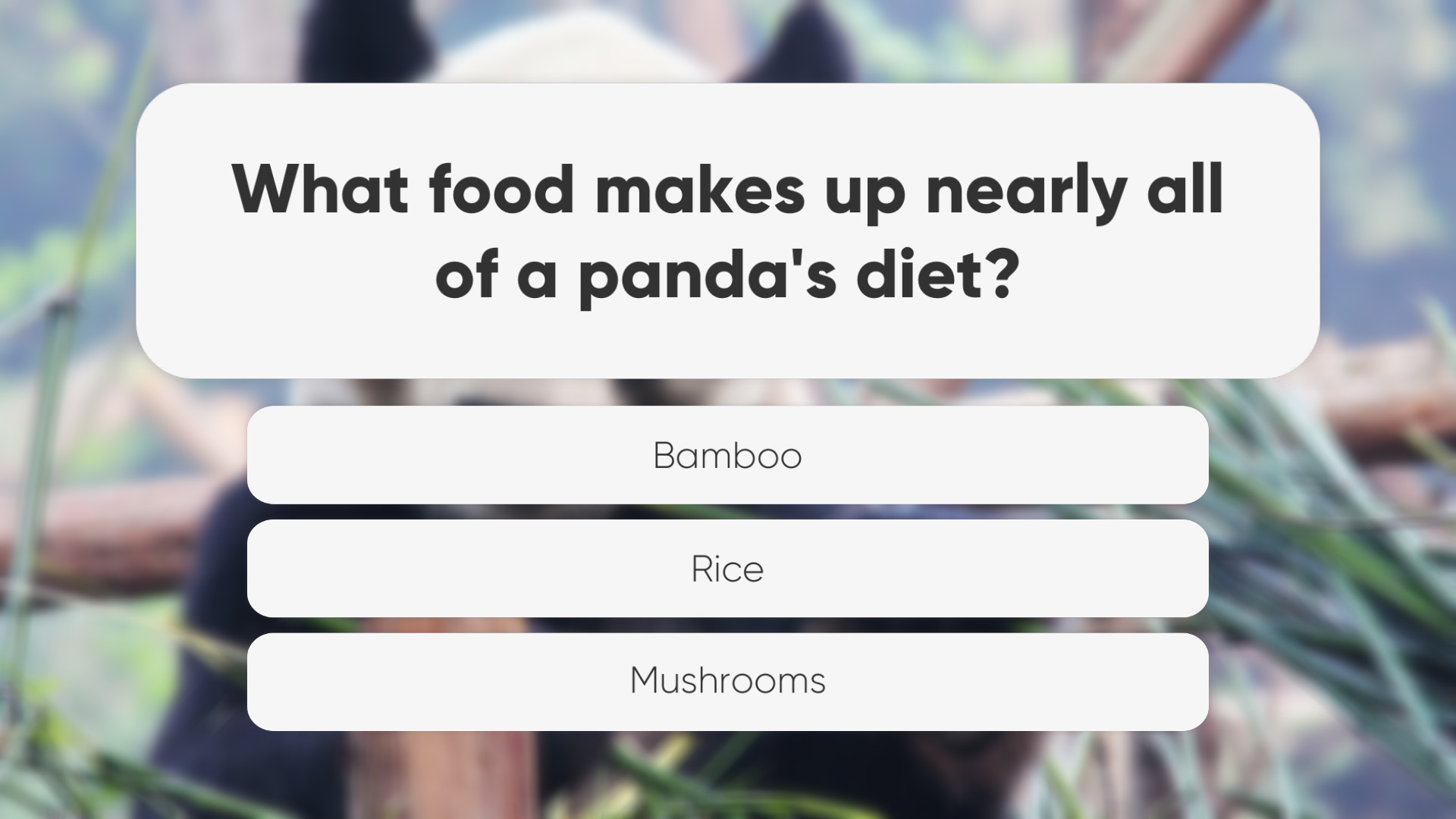 Amazing Trivia screenshot 6