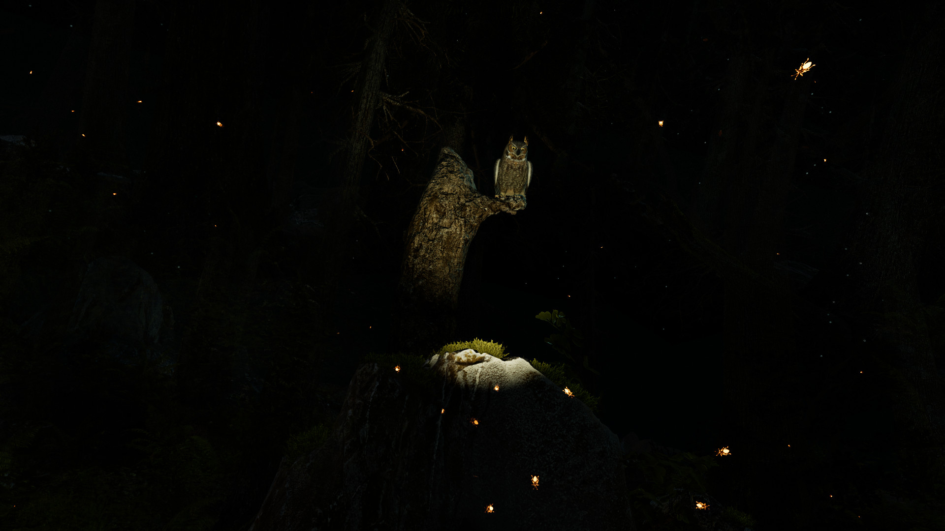 Shinrin-yoku screenshot 2