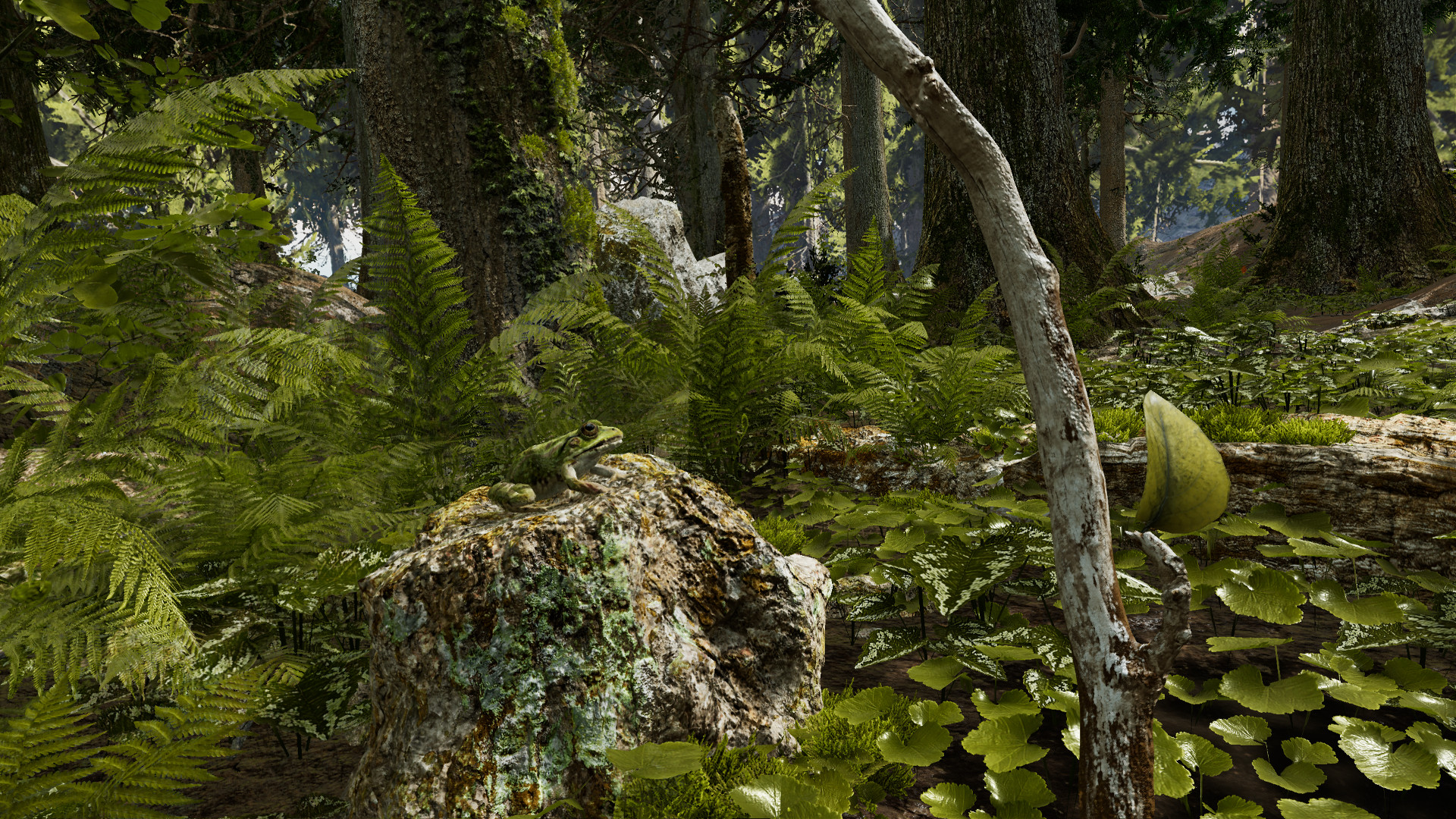 Shinrin-yoku screenshot 1