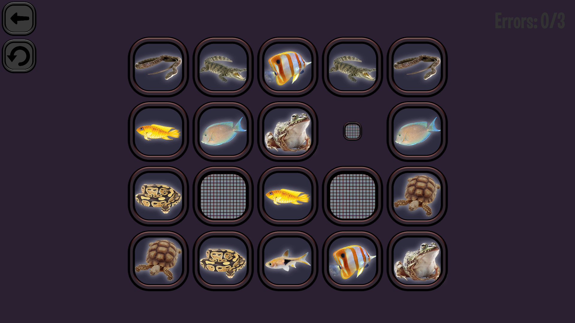 Animals Memory: Underwater Kingdom screenshot 6