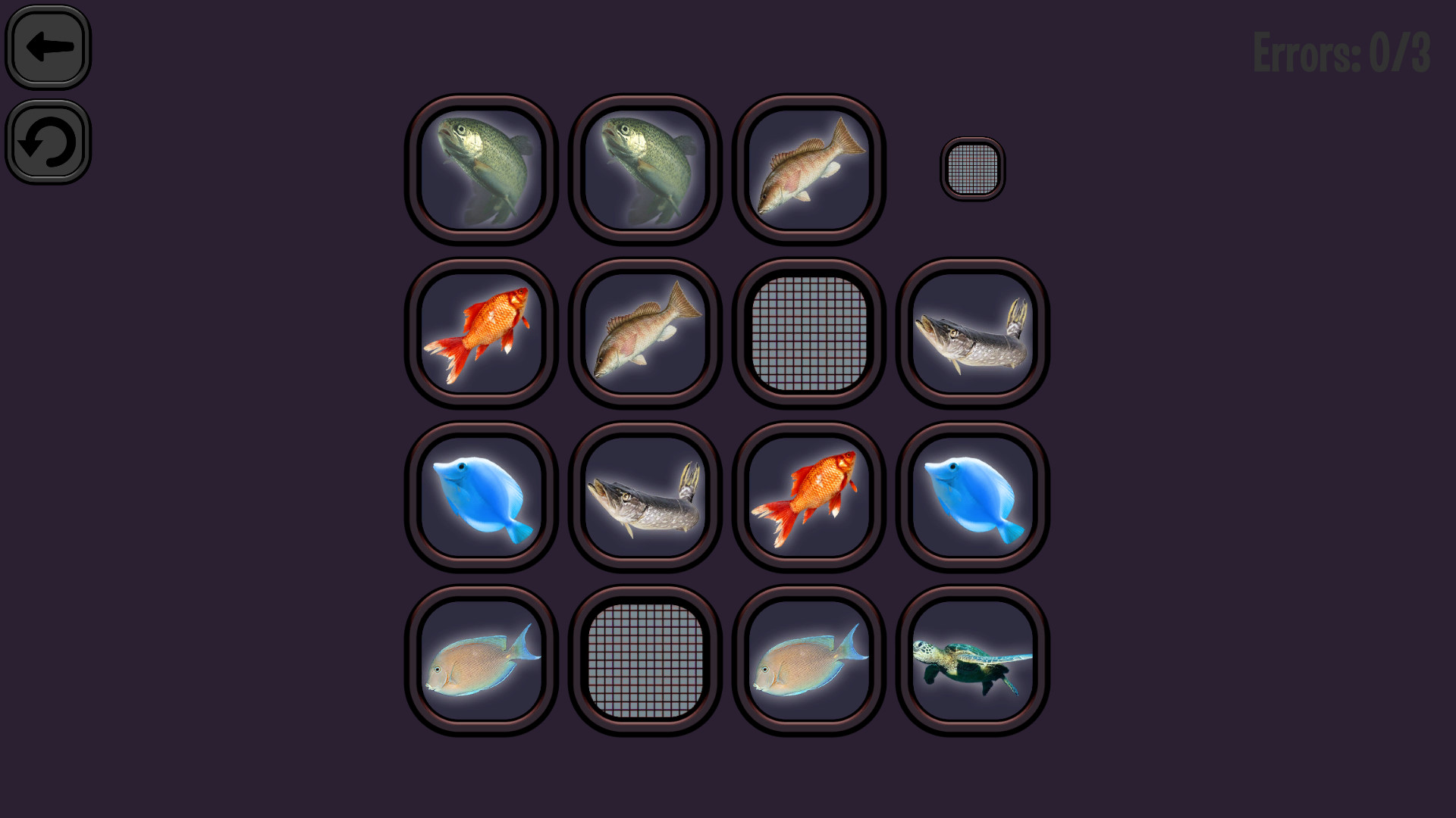 Animals Memory: Underwater Kingdom screenshot 4