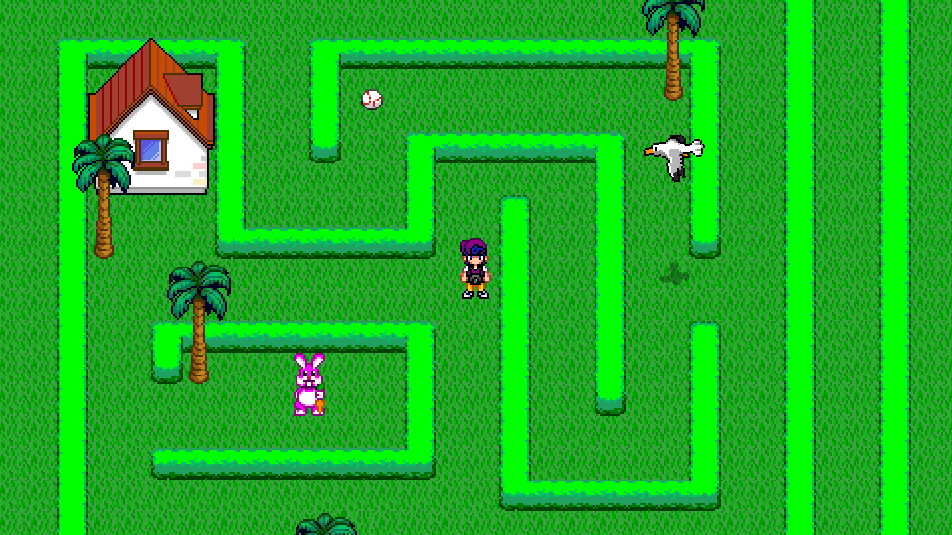 Foto Flash screenshot 5