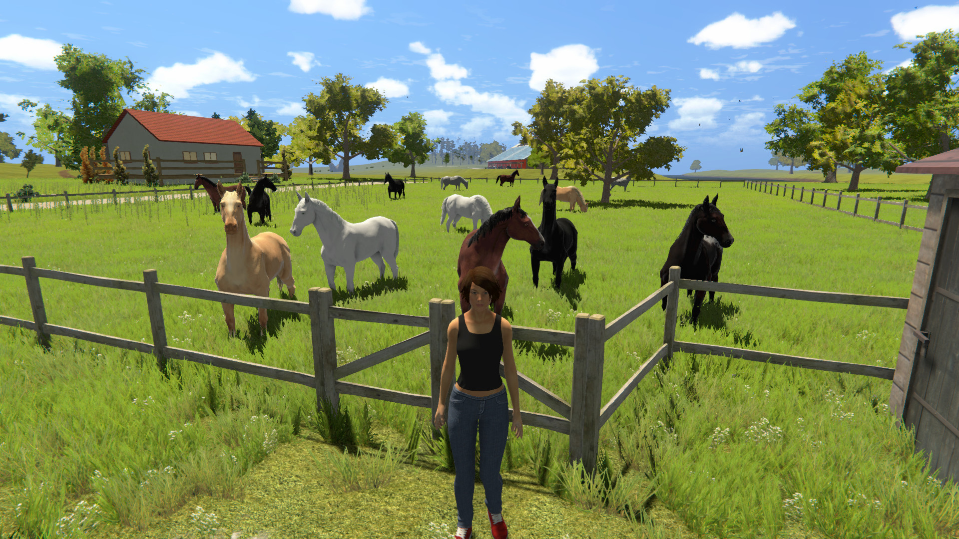My Little Riding Champion screenshot 5