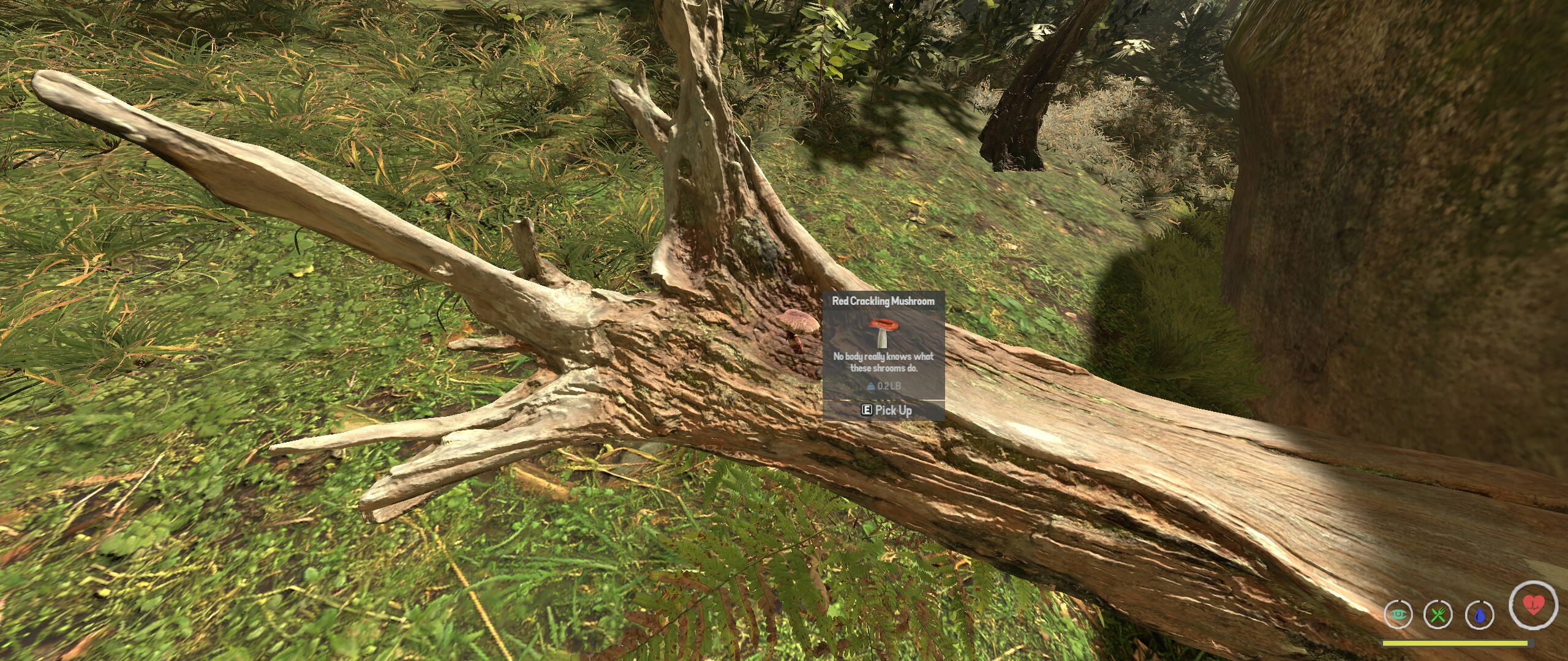 BugOut screenshot 4