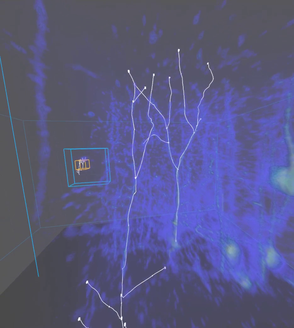 Virtual Reality Neuron Tracer screenshot 3