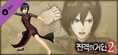 Additional Mikasa Costume: Chinese Dress Outfit
