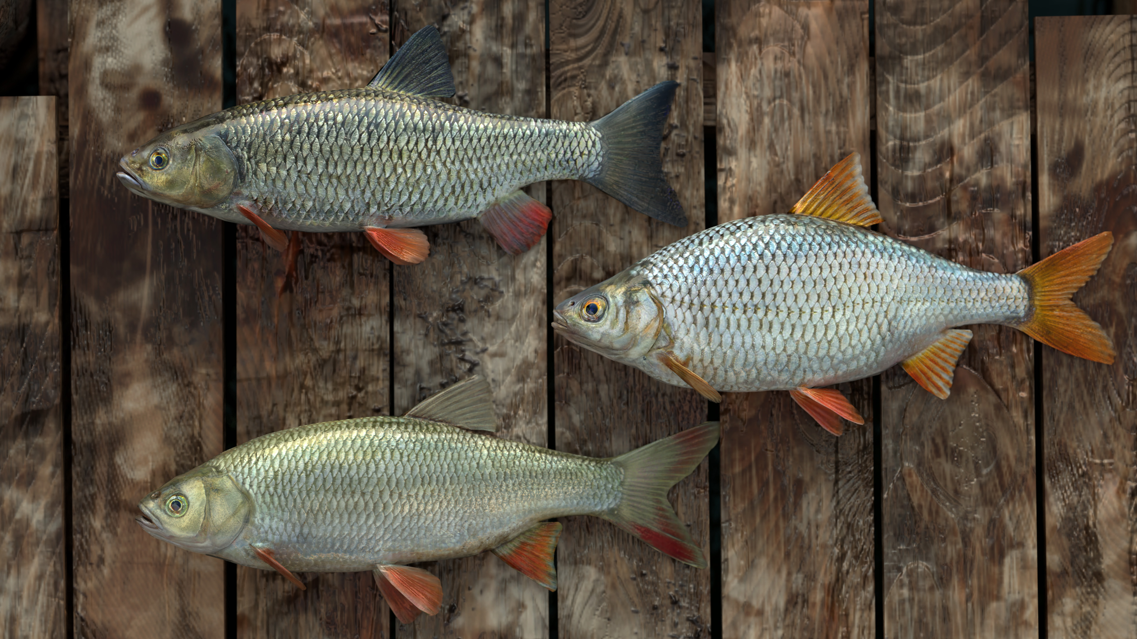 Professional Fishing screenshot 2