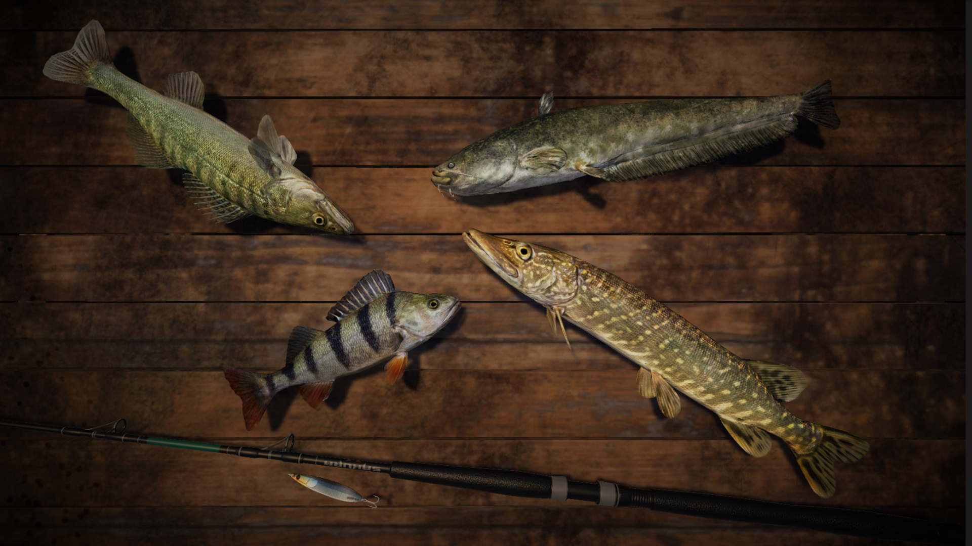 Professional Fishing screenshot 5