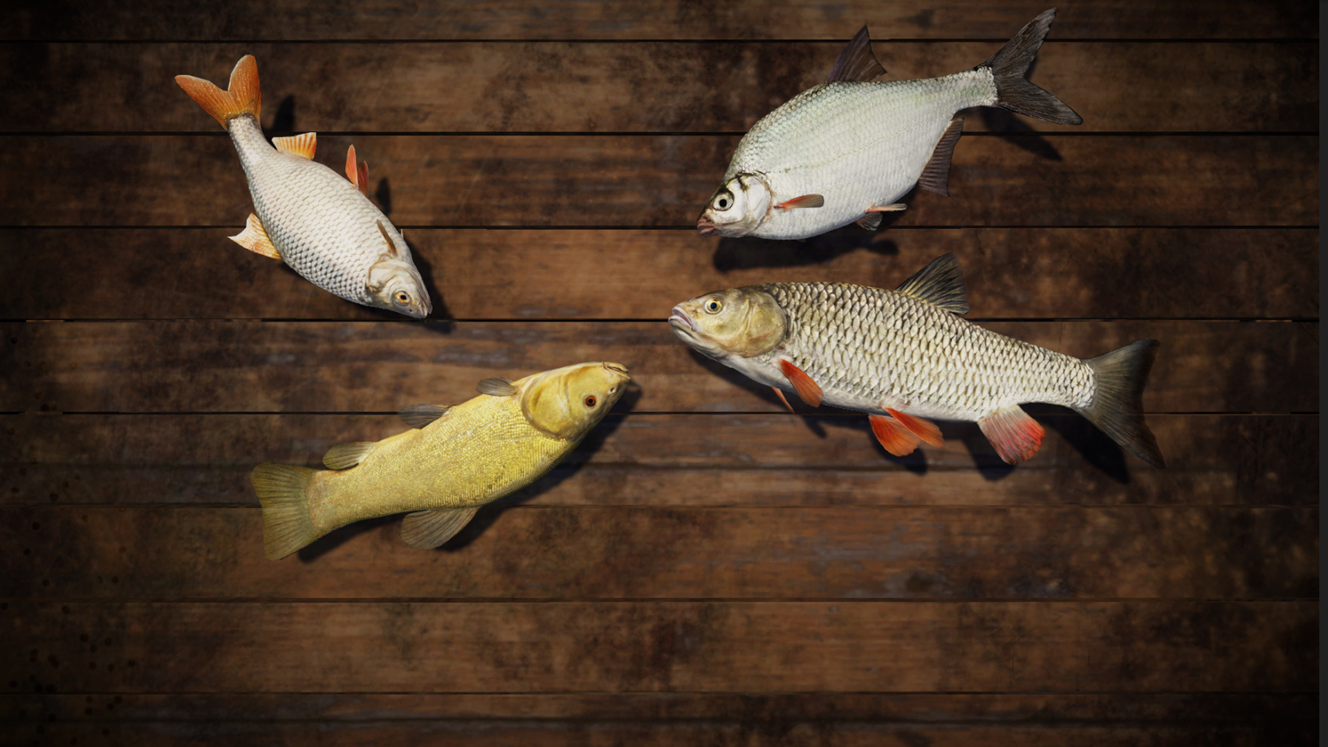 Professional Fishing screenshot 10