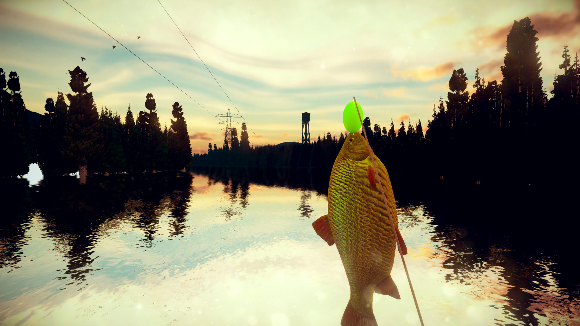 ALASKA screenshot 2