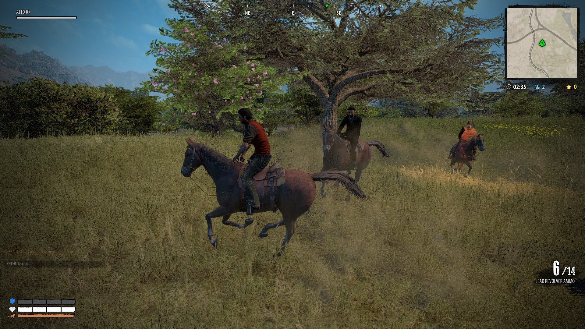 Magnificent 5 screenshot 8