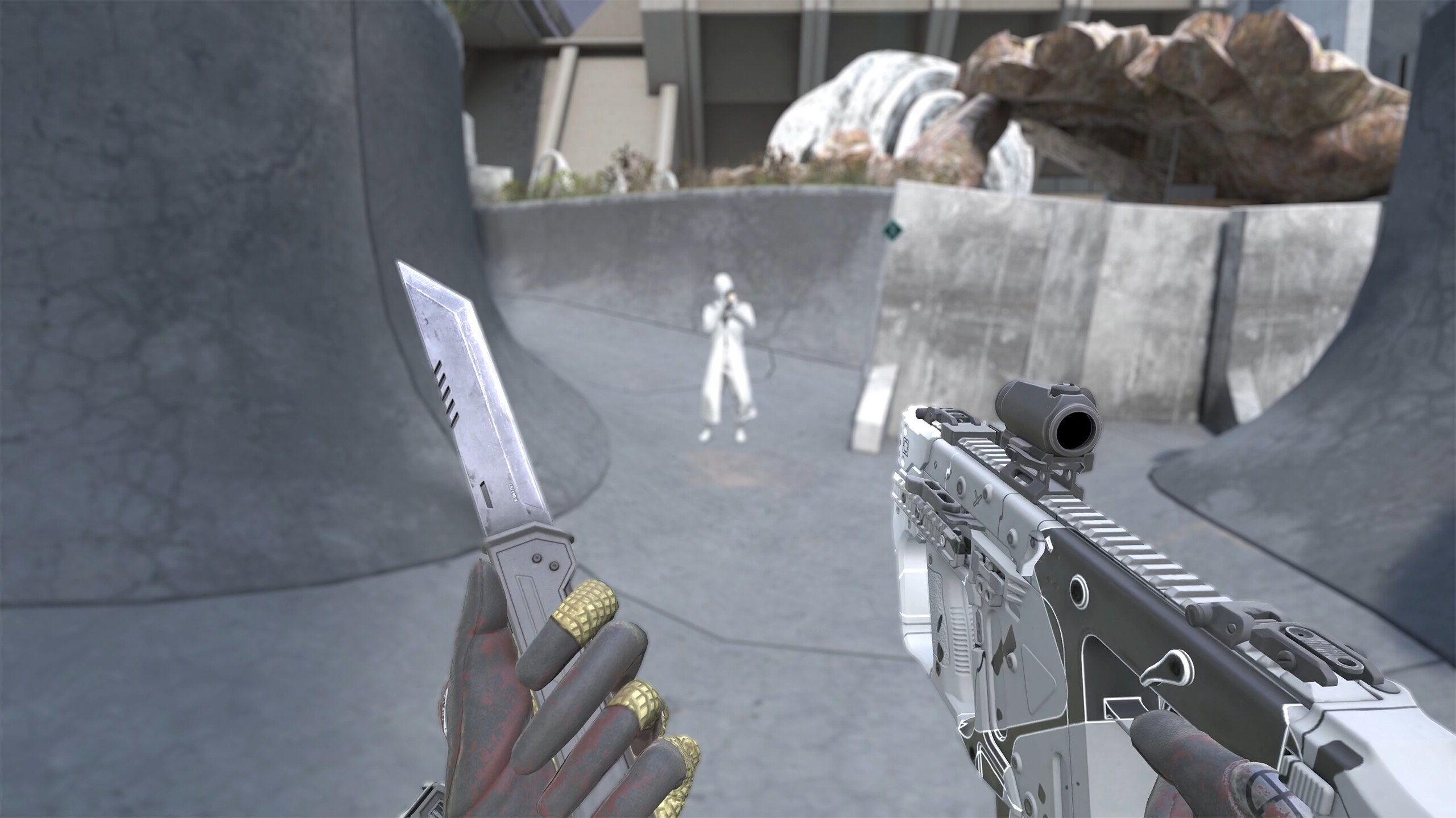 VAIL screenshot 1