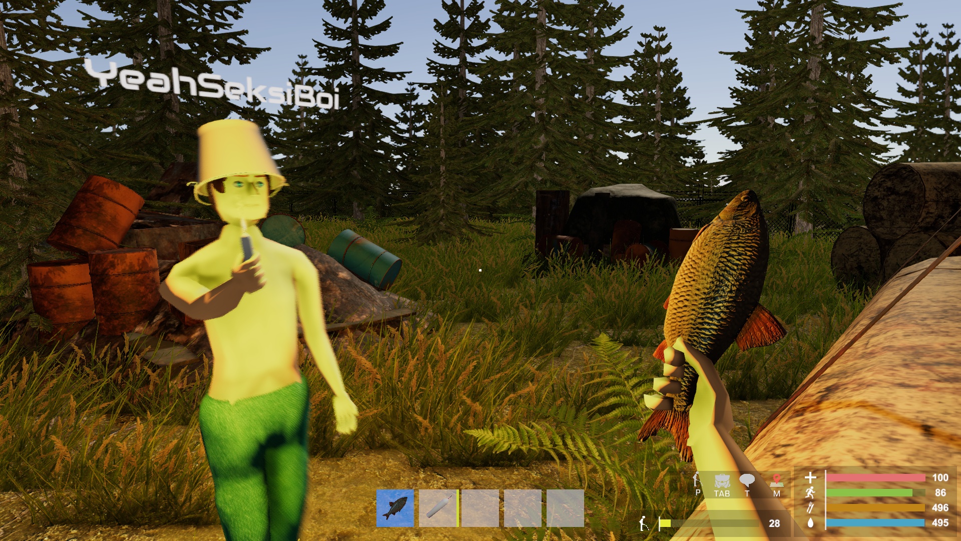 Pillage screenshot 5
