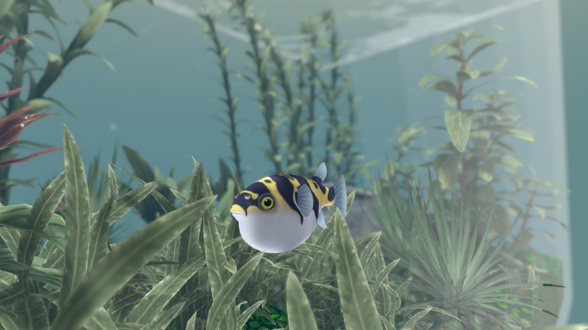 FISHERY screenshot 15