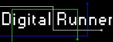 Digital Runner