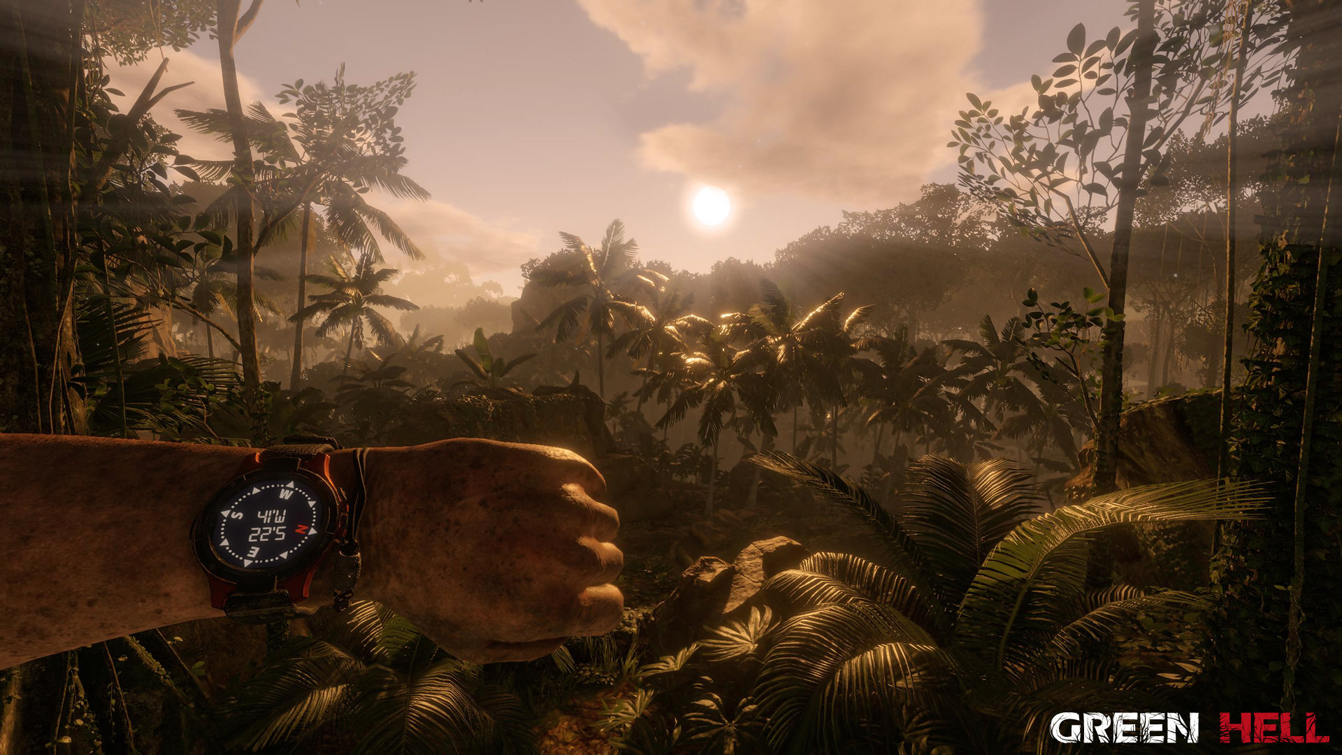 Green Hell screenshot 17