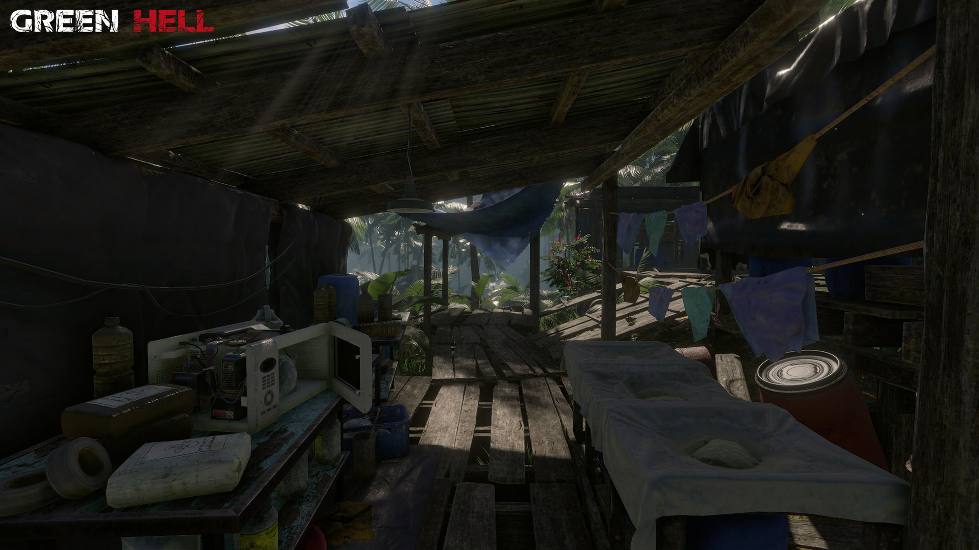 Green Hell screenshot 25