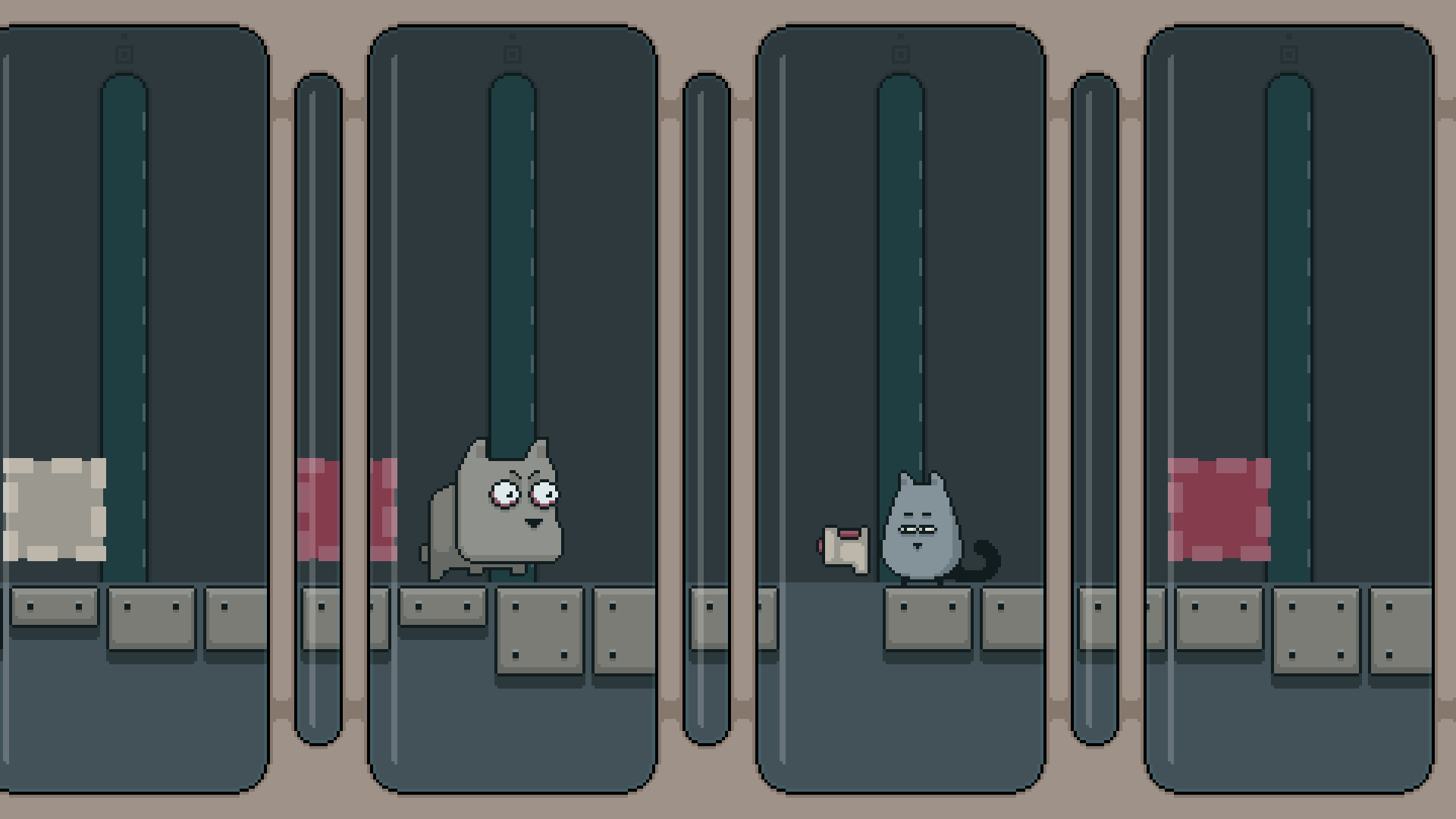 Gray Cat screenshot 4