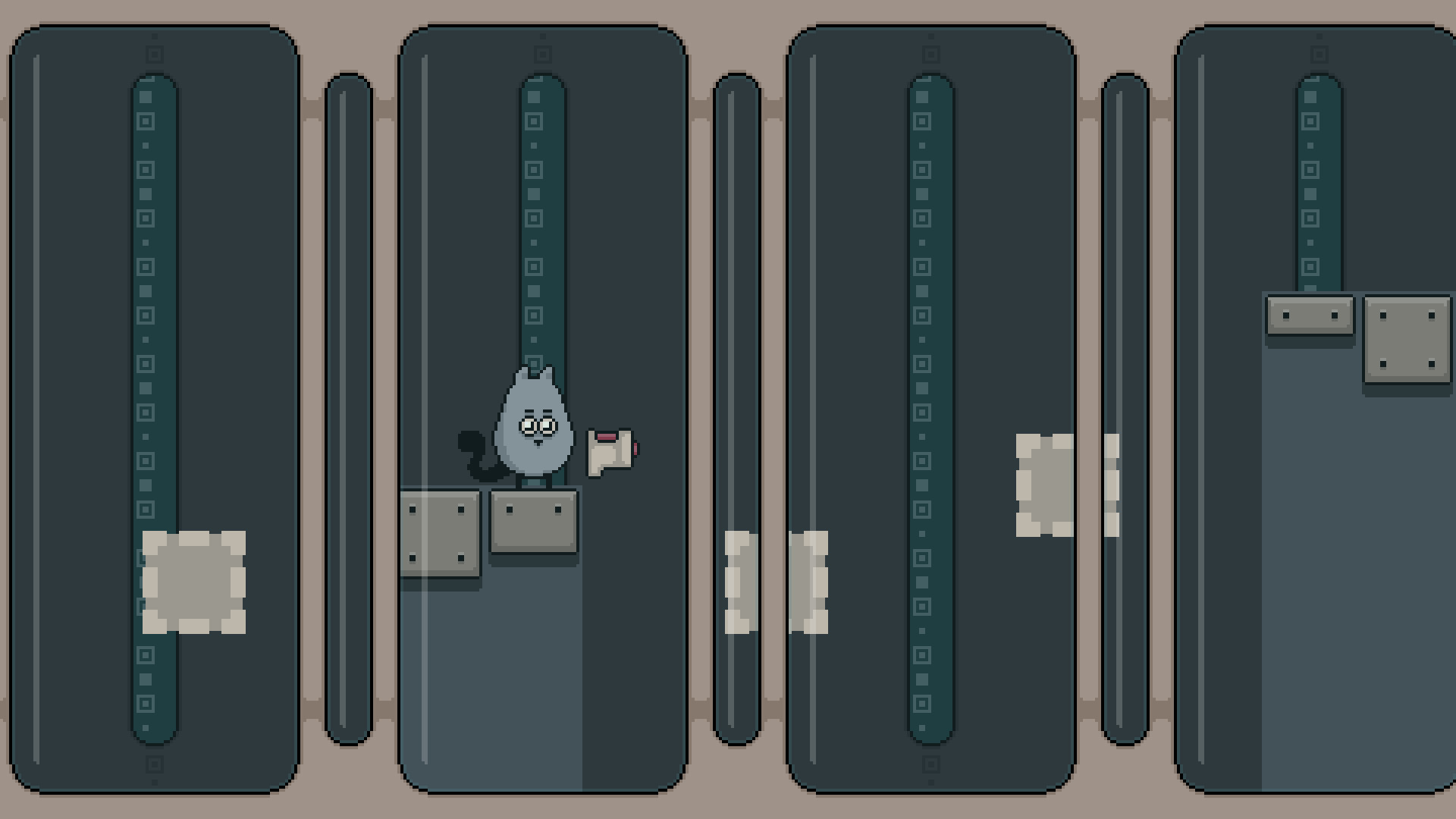 Gray Cat screenshot 1
