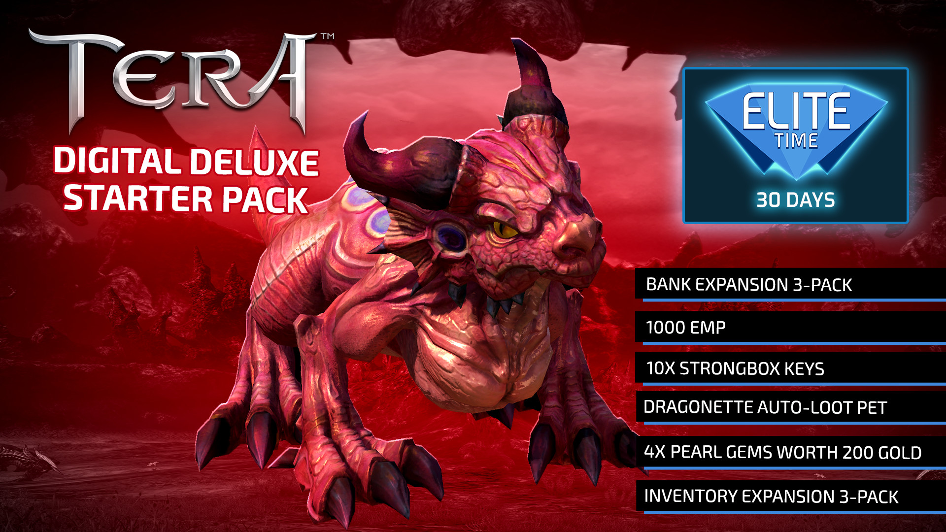 TERA - Digital Deluxe Starter Pack screenshot 1