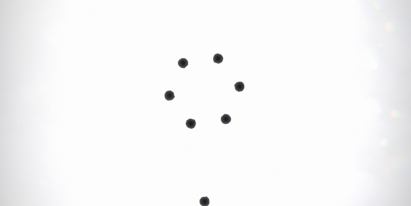 Black Circle screenshot 4